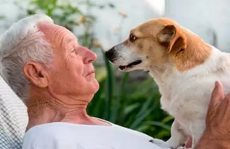 adultos-mayores-y-mascotas-