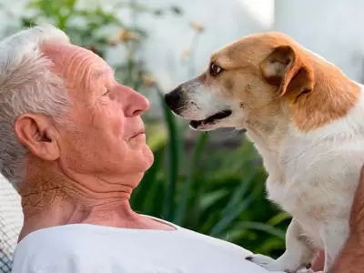 adultos-mayores-y-mascotas-
