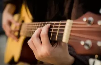 Musico