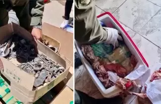 28-kilos-de-coca-oculta