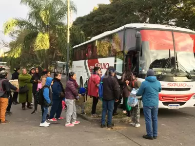 colectivos-1