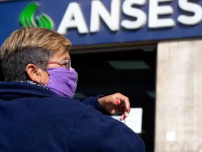 anses