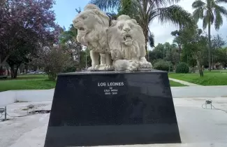 plaza-los-leones