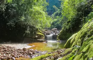 parque-nacional-calilegua