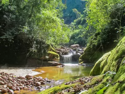 parque-nacional-calilegua