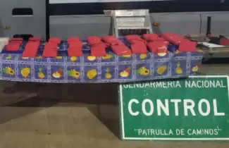 Gendarmeria-Cocaina-Hojas-de-Coca
