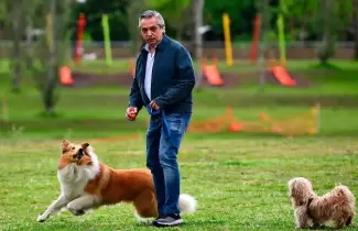 alberto-fernandez-y-sus-perros-