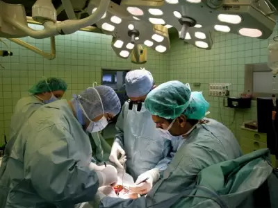 donacion-de-organos
