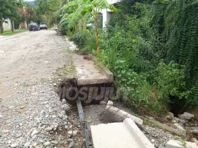 los-perales-calle-benavidez