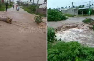 alto-comedero