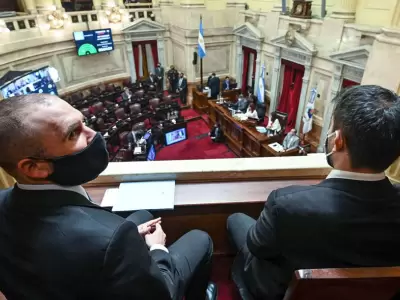 guzman-senado