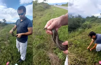 serpiente-la-almona-cafaju