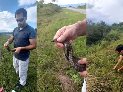 serpiente-la-almona-cafaju