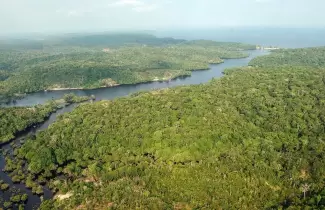 selva-amazonica