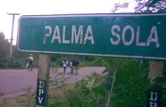 palma-sola
