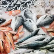 Consumo responsable de pescado en Semana Santa: recomendaciones a seguir