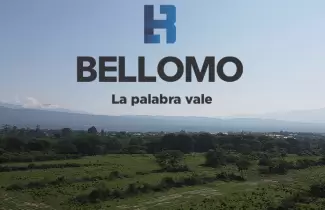 Bellomo