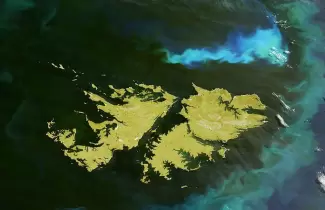islas-malvinas