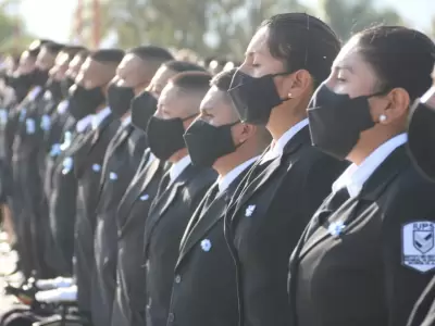 agente-de-seguridad