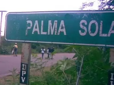 palma-sola