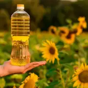 aceite-de-girasol