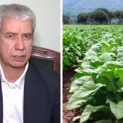 Negociación del precio del tabaco: "El productor de Jujuy no puede esperar más”