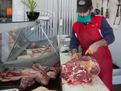 carniceria-ilustrativa-