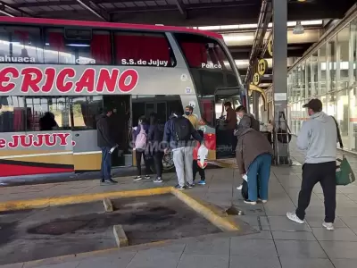 colectivo-ok