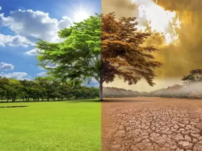 observatorio-climatico