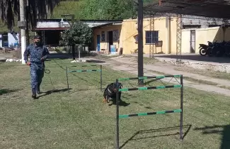 perroton-1