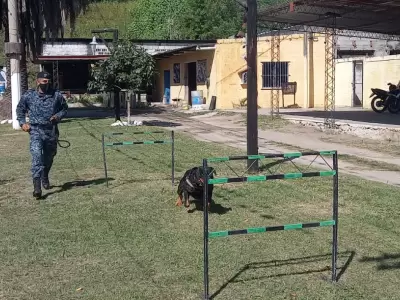 perroton-1