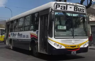 Pal-Bus