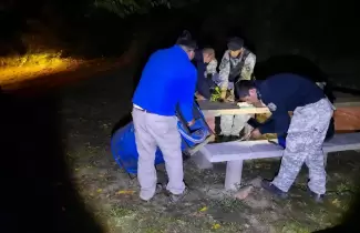 mono