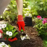 Mejor evitarlos: los 3 productos caseros que secan las plantas de inmediato y no deberías usar jamás