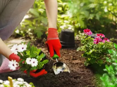 plantas-flores-