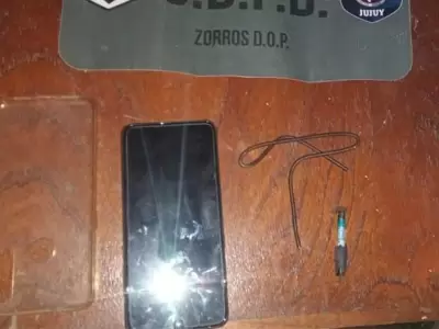 celular