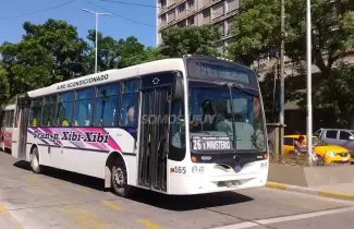 colectivo