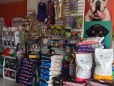 insumos-veterinarios-