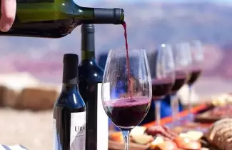 jujuy-vinos-de-altura-