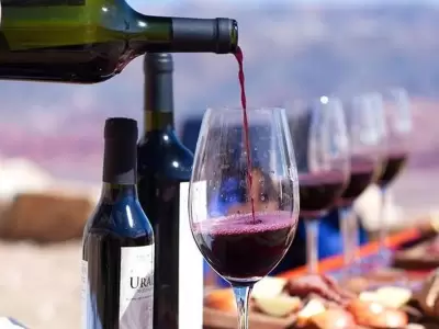 jujuy-vinos-de-altura-