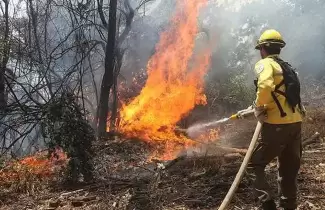 incendios-forestales