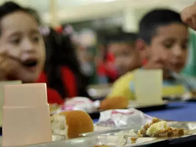 alimentos-escuela