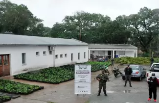 plantas-secuestradas-en-la-finca-de-un-jujeno
