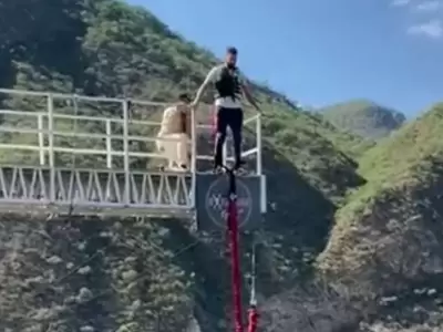 bungee