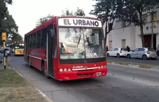 colectivos-transporte-2