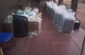 hojas-de-coca-decomisadas