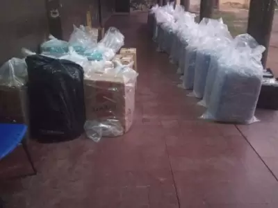 hojas-de-coca-decomisadas