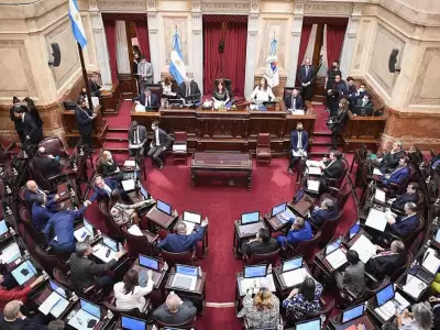 senado