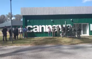 cannava