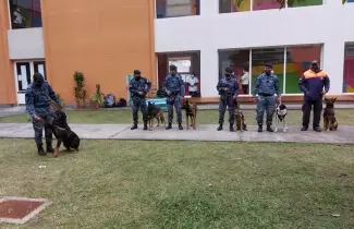 perros-policia-exhibicion